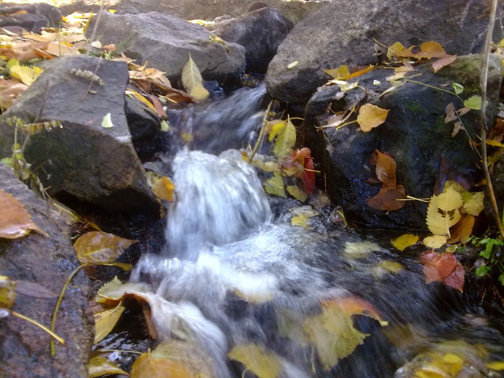 Little stream, Новая Каховка