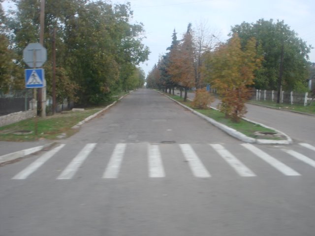 Suvorova street, Нововоронцовка