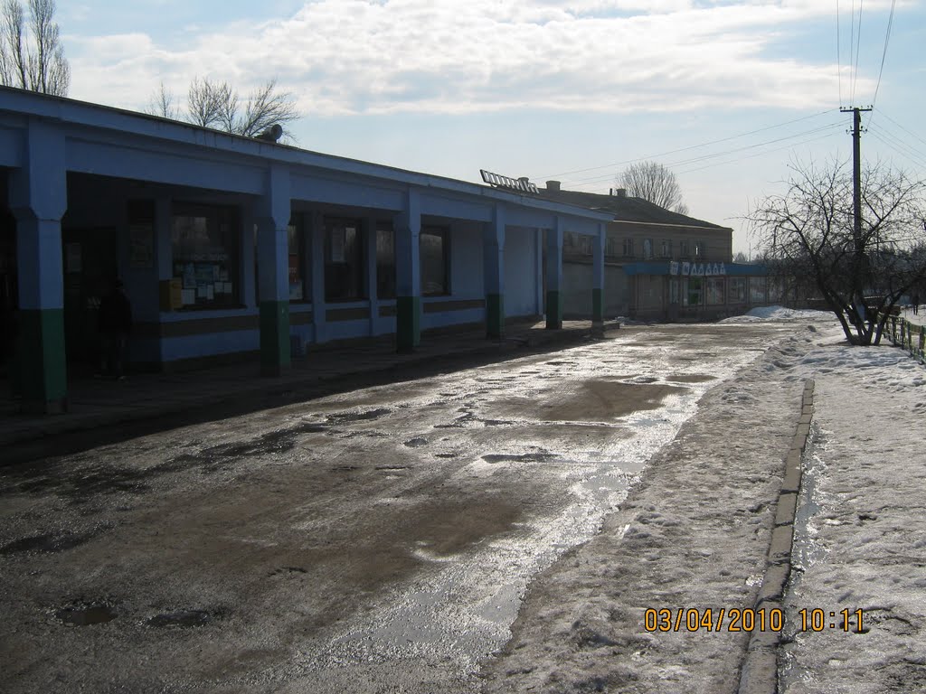 автовокзал, Нововоронцовка