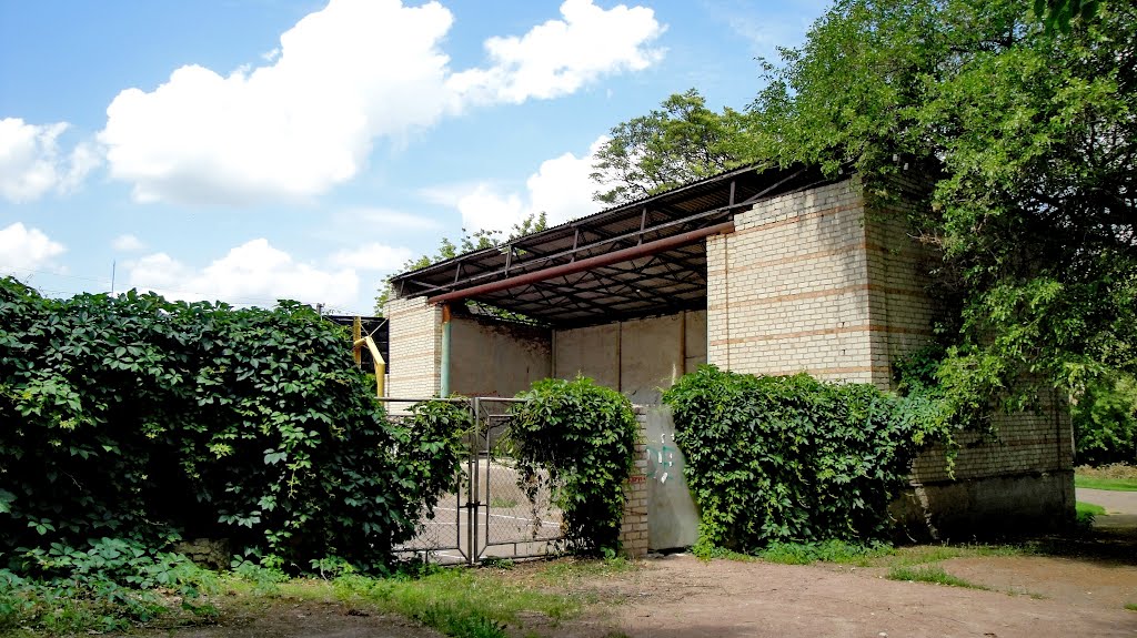 Руины летнего кинотеатра, Нововоронцовка