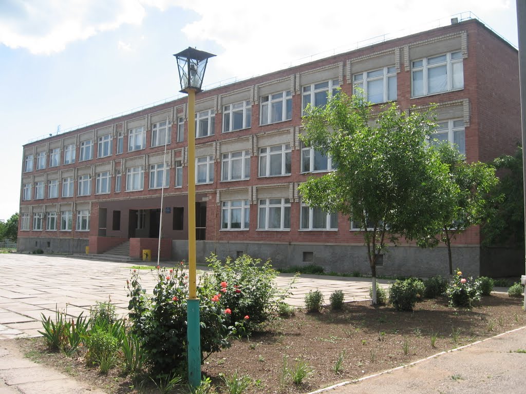 Новотроїцька гімназія, Новотроицкое