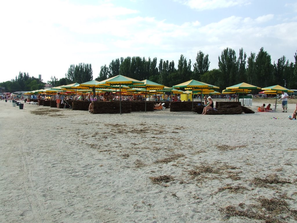 Платный пляж, Скадовск