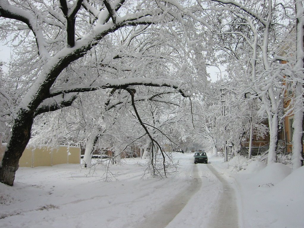 Зима, Херсон