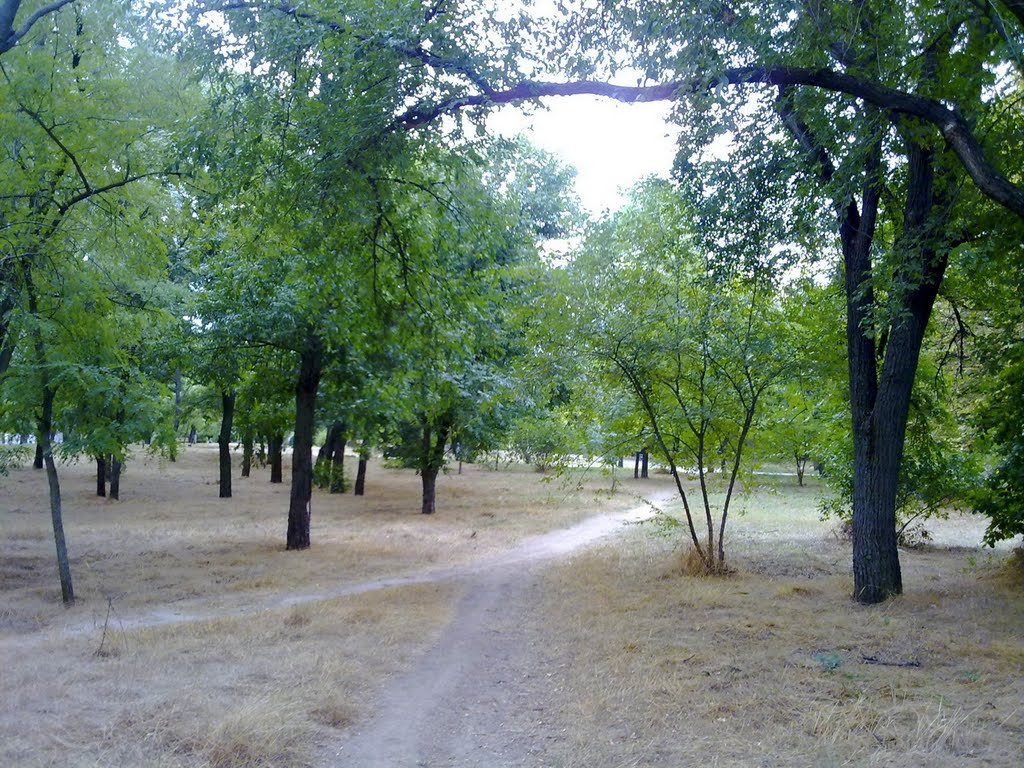 В парке Ленинского комсомола, Херсон