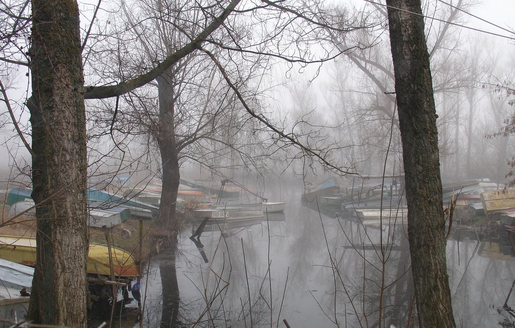 "Утро туманное...", Цюрупинск