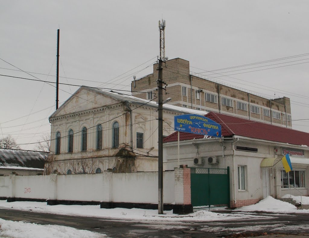 Старая синагога, Цюрупинск