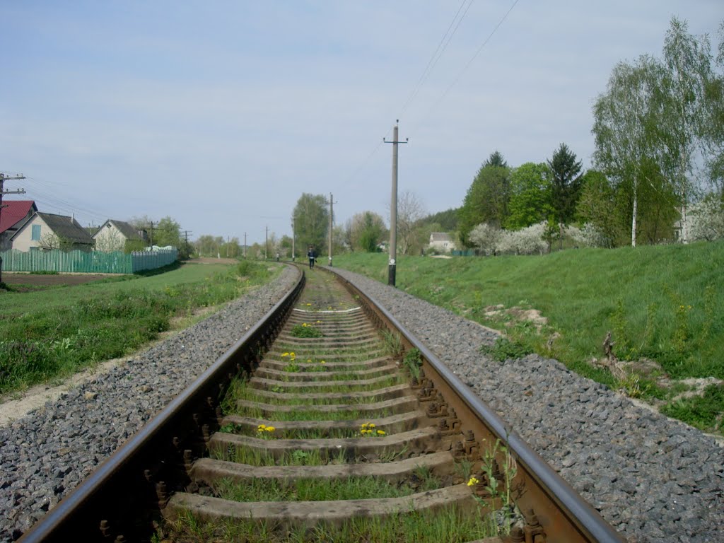 Железнодорожная линия Тернополь - Шепетовка. Перегон Белогорье - Суховоля, Белогорье
