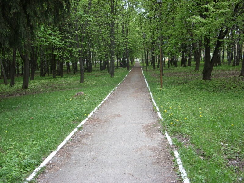 алея парку біля стадіону на весні, Виньковцы
