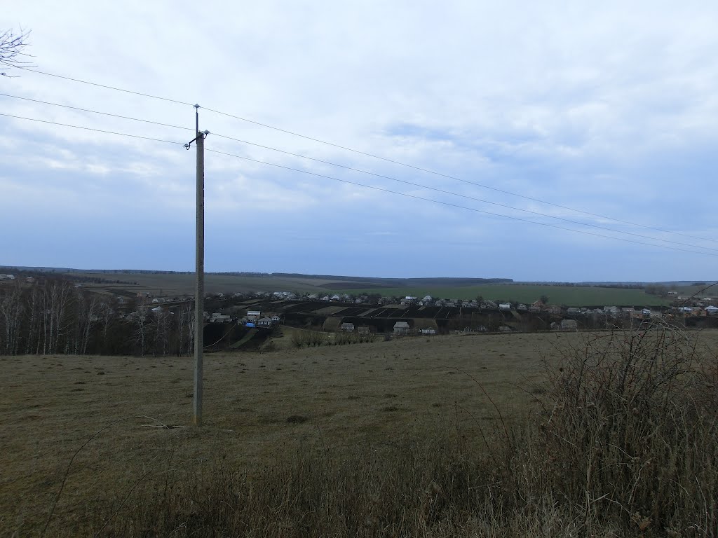 Вид на Подолянку зі сторони Комбікорму, Виньковцы