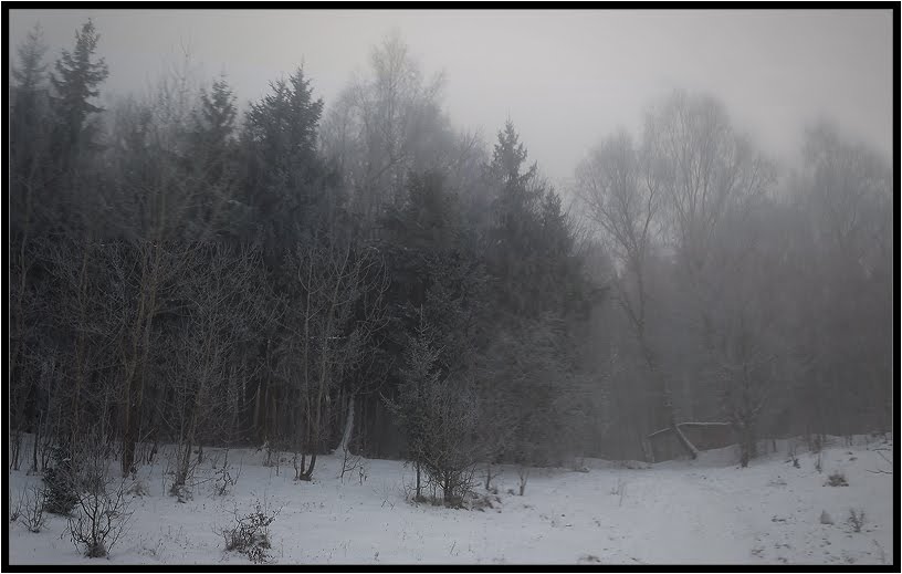 frosty morning, Волочиск