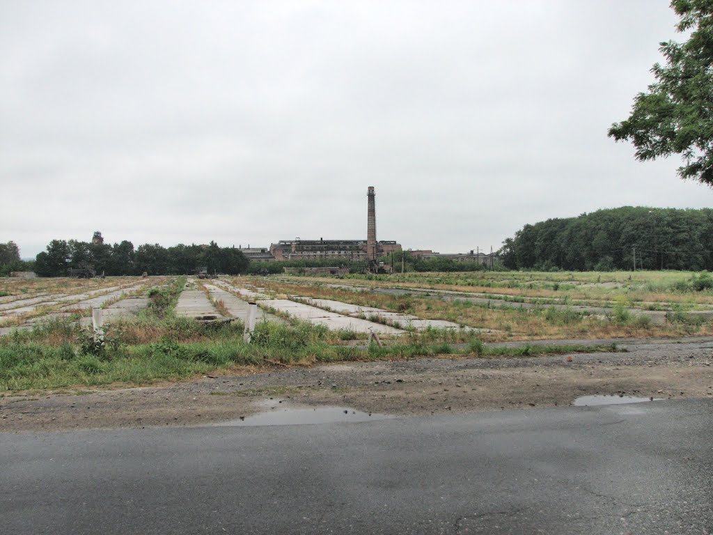 Вид на сахарный завод через зарастающее кагатное поле. Район Виктория., Городок