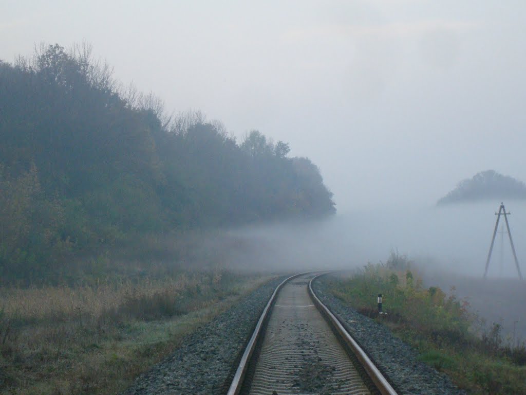 Железнодорожная линия Гусятин - Ярмолинцы. Перегон Виктория - Новолисогорка. Туман над дорогой, Городок