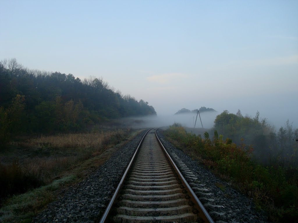 Железнодорожная линия Гусятин - Ярмолинцы. Перегон Виктория - Новолисогорка. Туман над дорогой, Городок