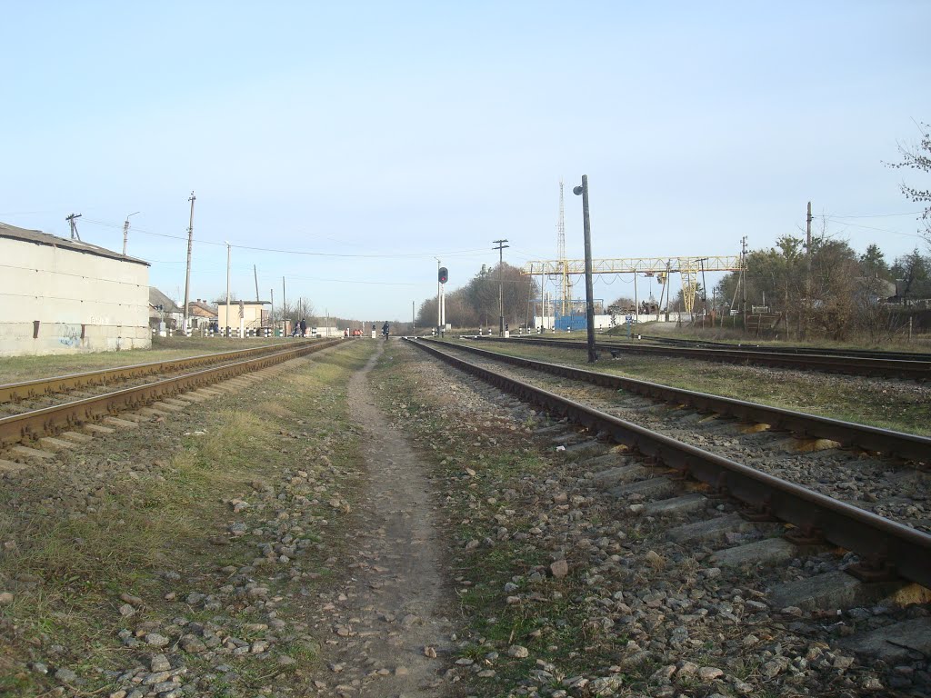 Станция Изяслав. Вид в сторону Шепетовки, Изяслав