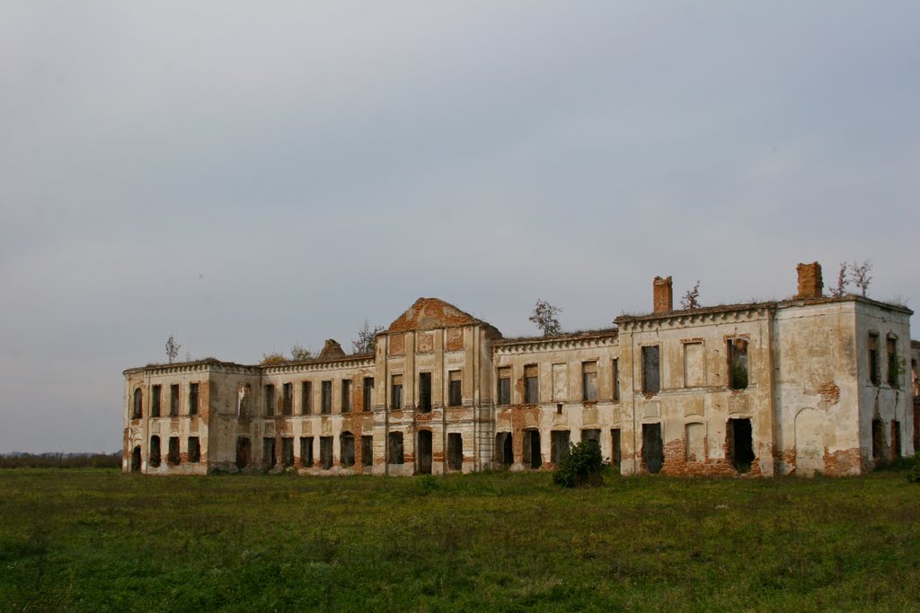палац Сангушків, Изяслав