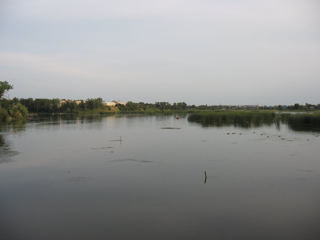 літня ідилія ♦ quiet river in the summer, Изяслав