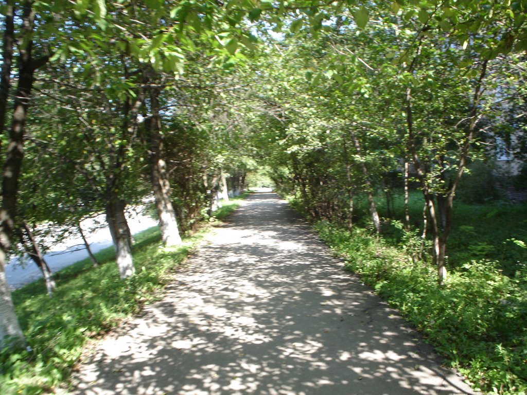 Зелена алея, Каменец-Подольский