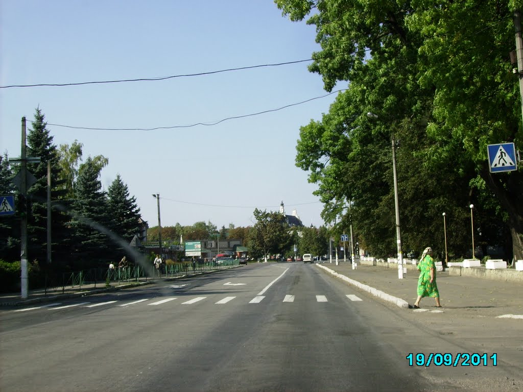 Летичев (дорога М-12), Летичев