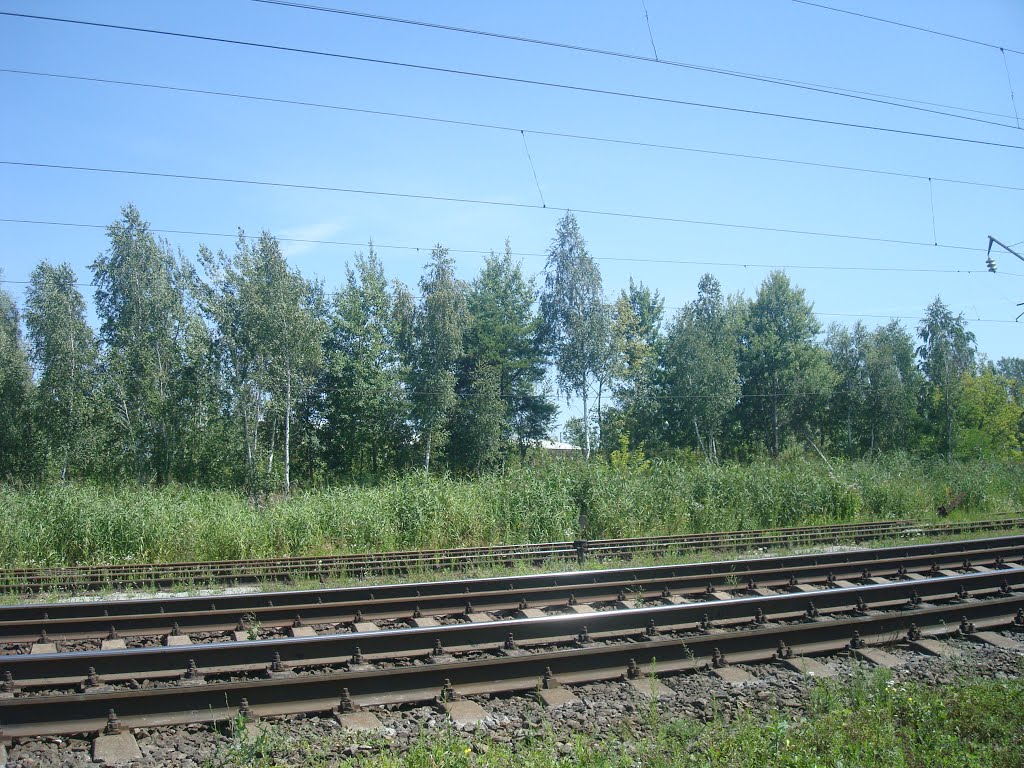 Железнодорожная линия Шепетовка - Бердичев. Перегон Блыдни - Понинка, Полонное