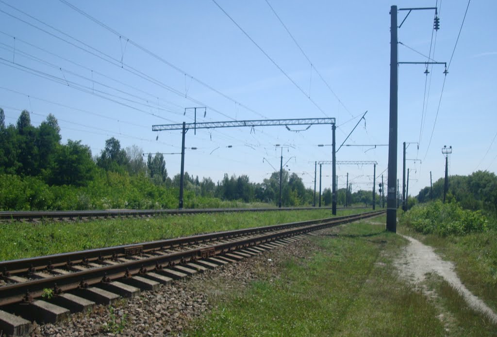 Железнодорожная линия Шепетовка - Бердичев. Перегон Блыдни - Понинка, Полонное