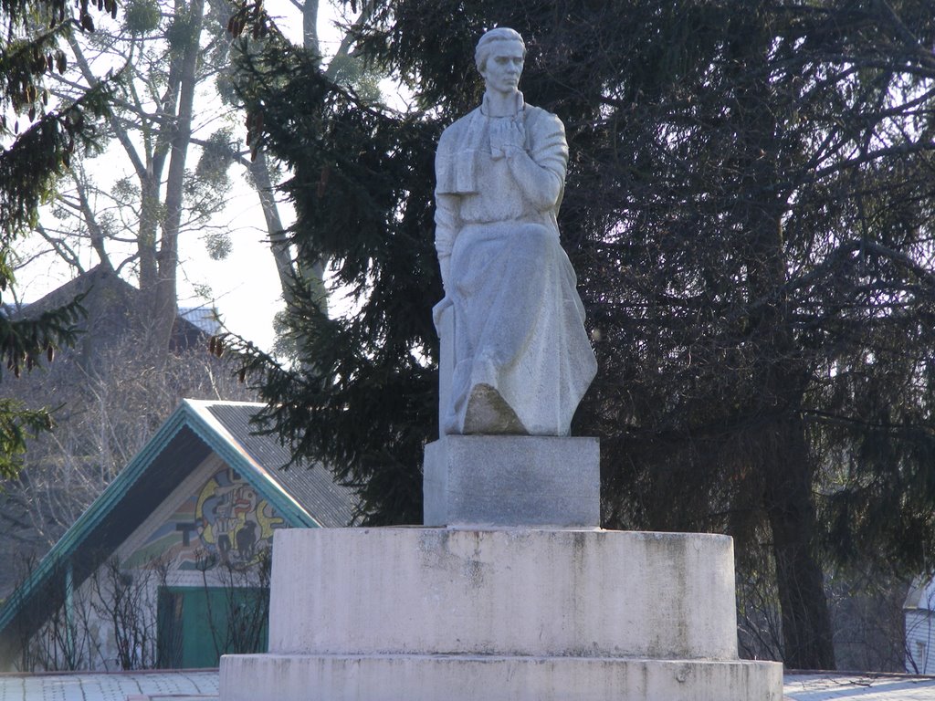 Пам’ятник Лісі Українці, Полонное