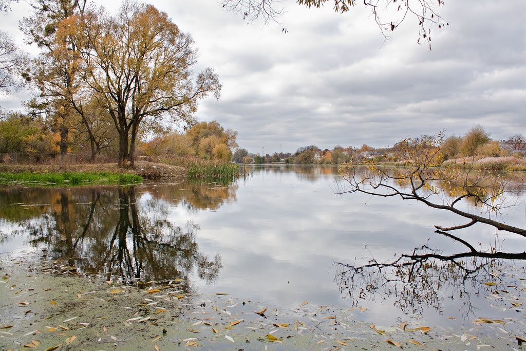 Lake in autumn, Славута