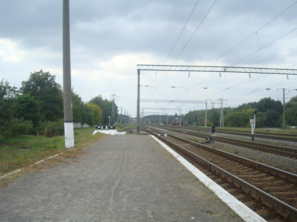 Станция Славута. Вид с первой платформы в сторону Кривина, Славута