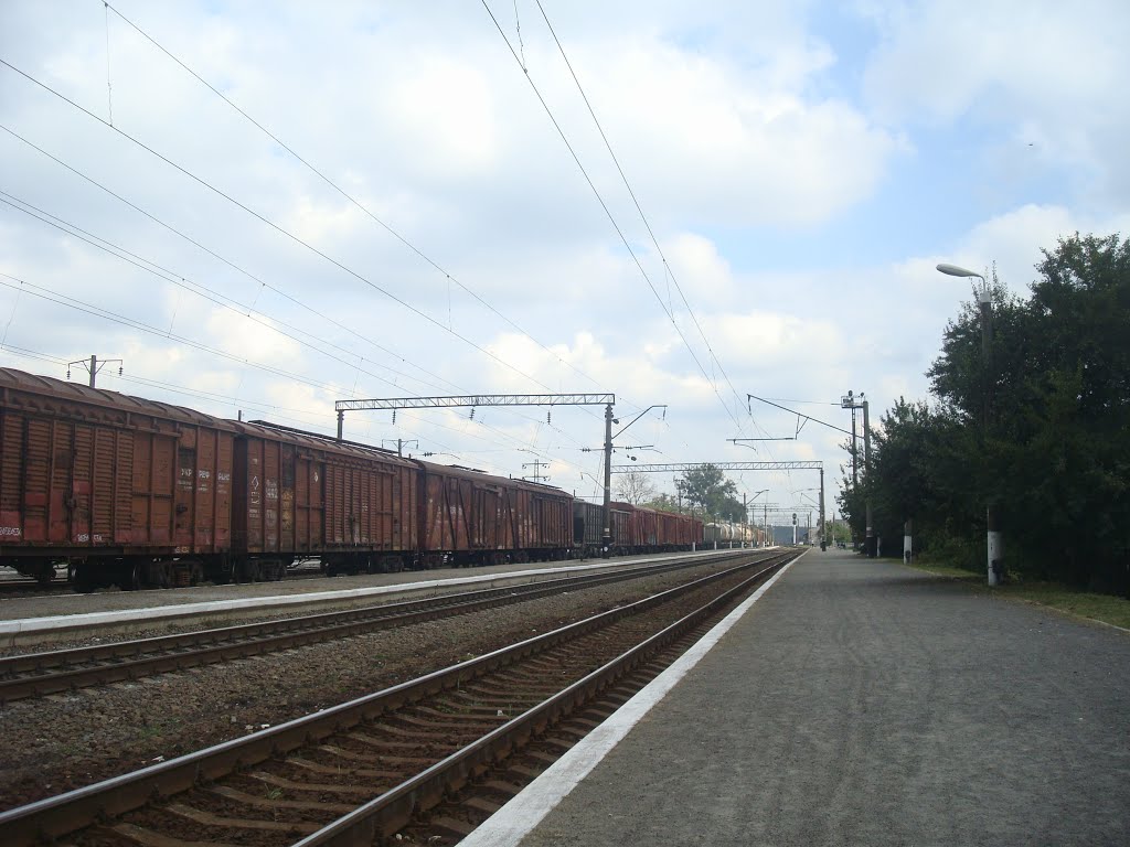 Станция Славута. Вид с первой платформы в сторону Цветохи, Славута