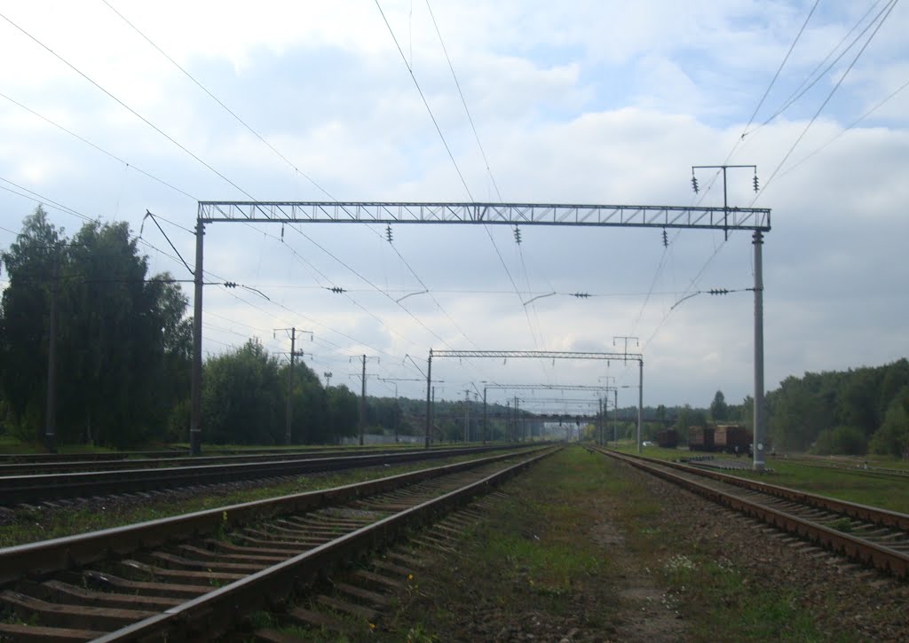Станция Славута. Вид  в сторону Кривина, Славута