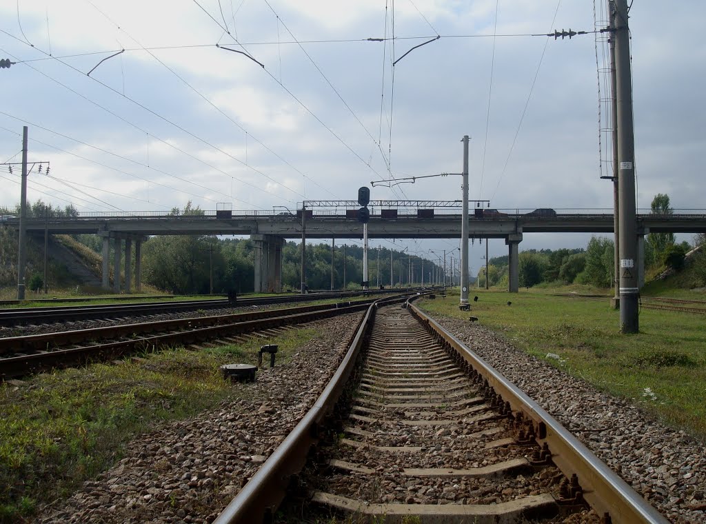 Станция Славута. Путепровод. Вид в сторону Кривина, Славута