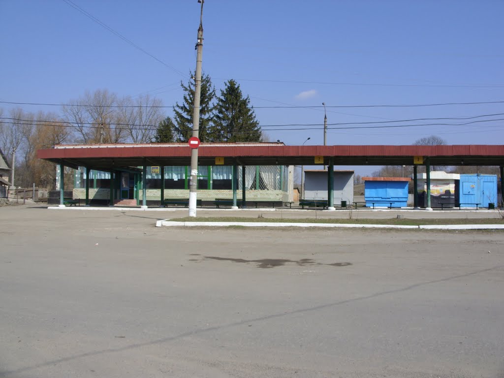 автовокзал, Старая Синява