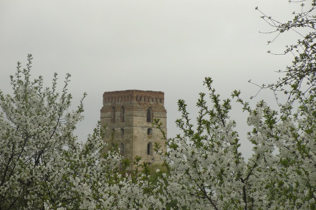Башта - Tower, Староконстантинов