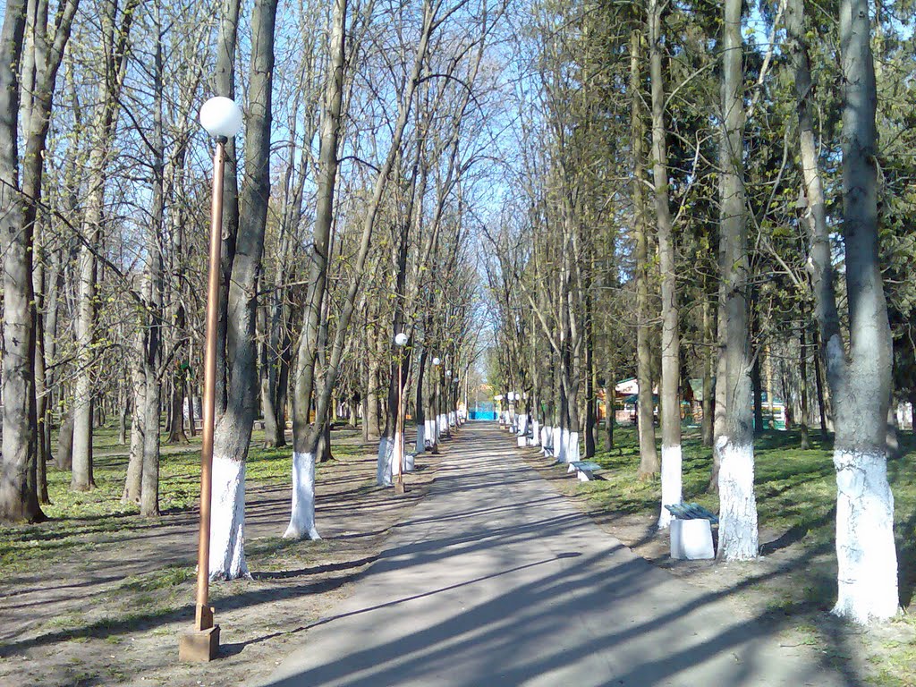 Весенний парк., Староконстантинов