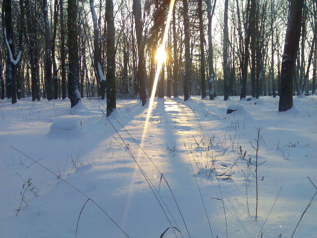 Зимний закат солнца., Староконстантинов
