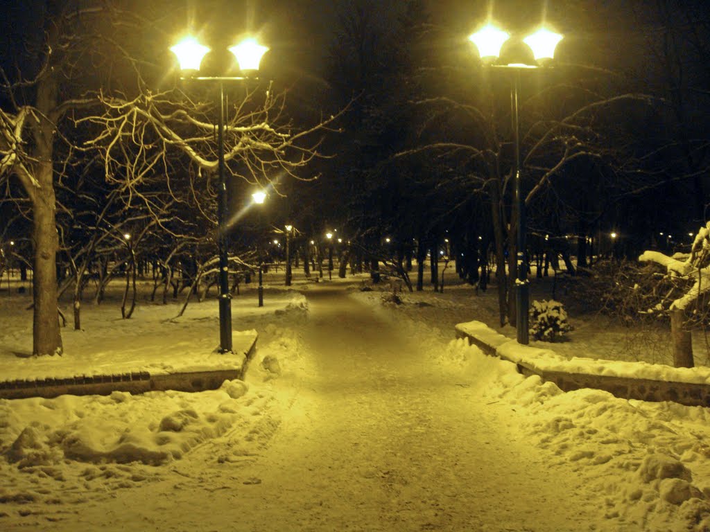 Park at night  /  Ночью в парке, Хмельницкий