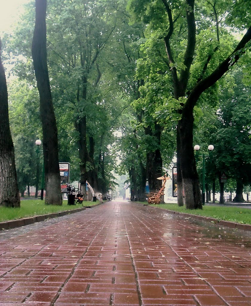 Alley in downtown (Rainy cityscapes), Хмельницкий