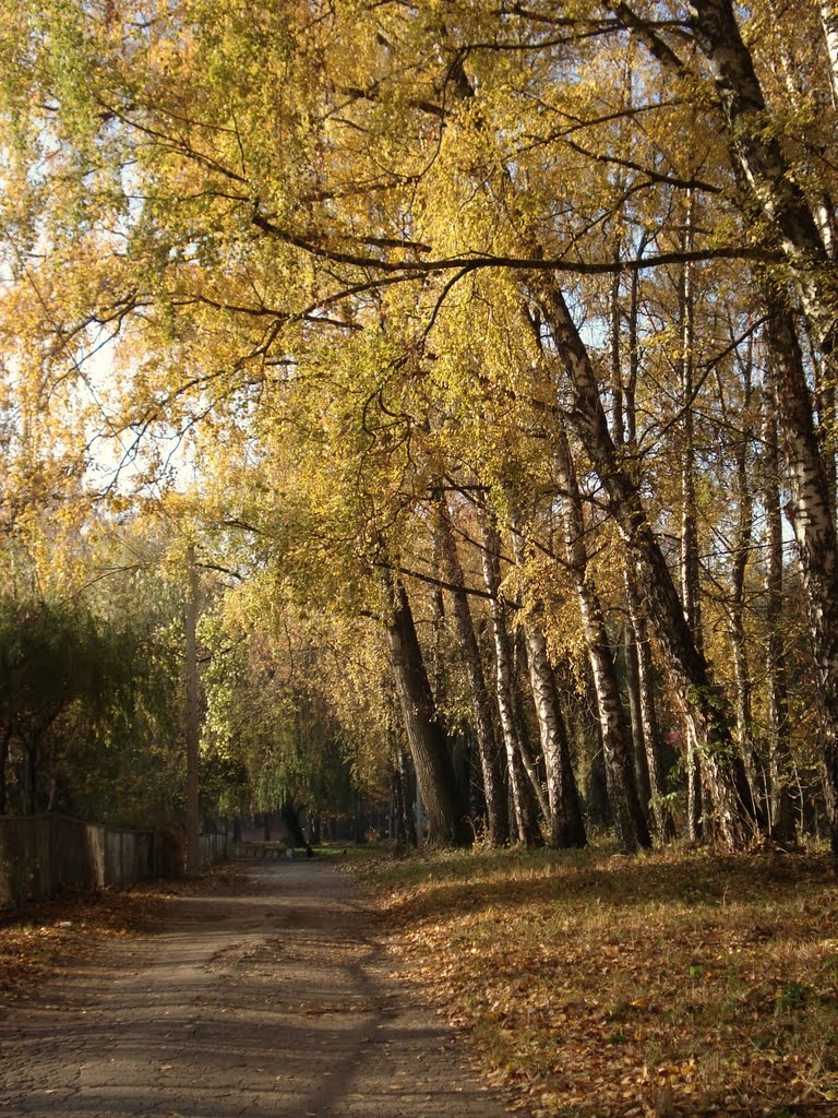 Walk in the autumn park, Хмельницкий