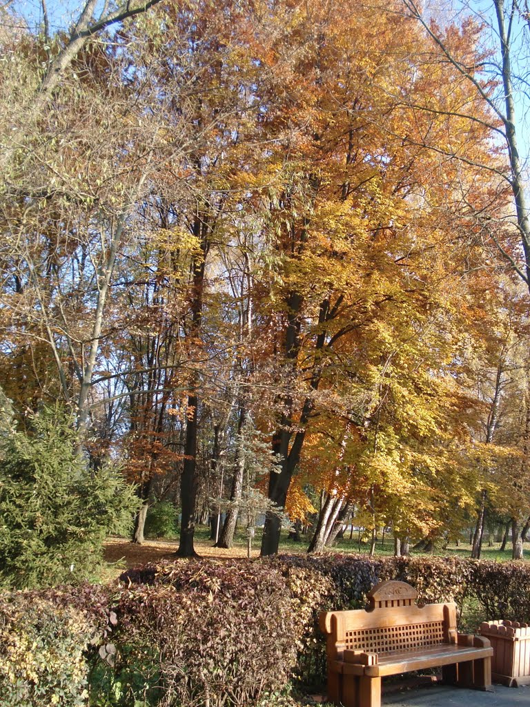 Walk in the autumn park, Хмельницкий