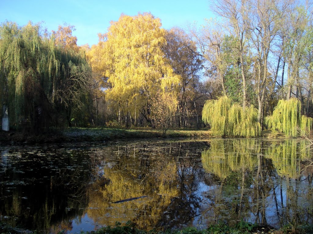Reflection - Walk in the autumn park, Хмельницкий