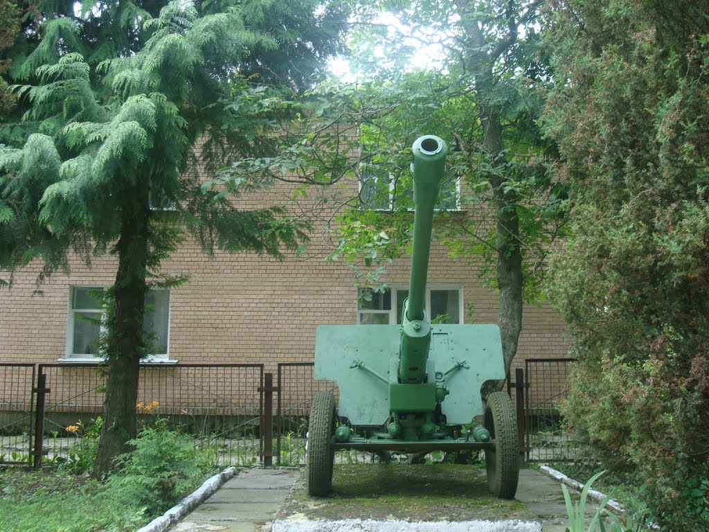 Пушка возле музея, Чемеровцы