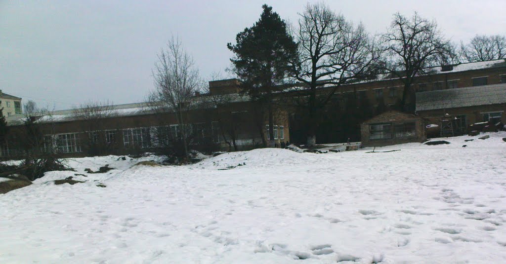 7 школа, Шепетовка