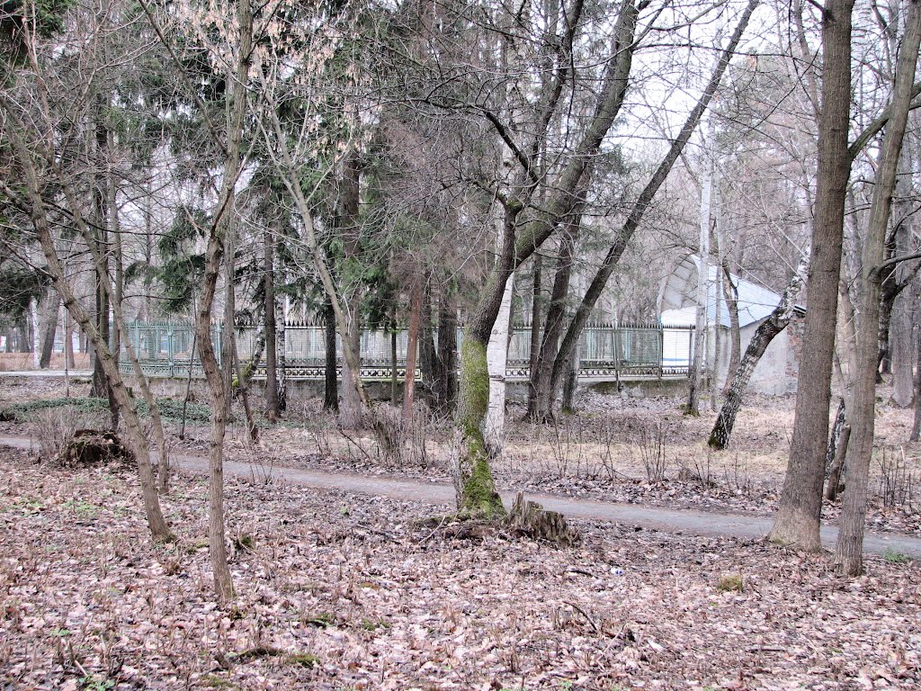 Танцплощадка в городском парке в ожидании открытия сезона. Вид на север., Шепетовка