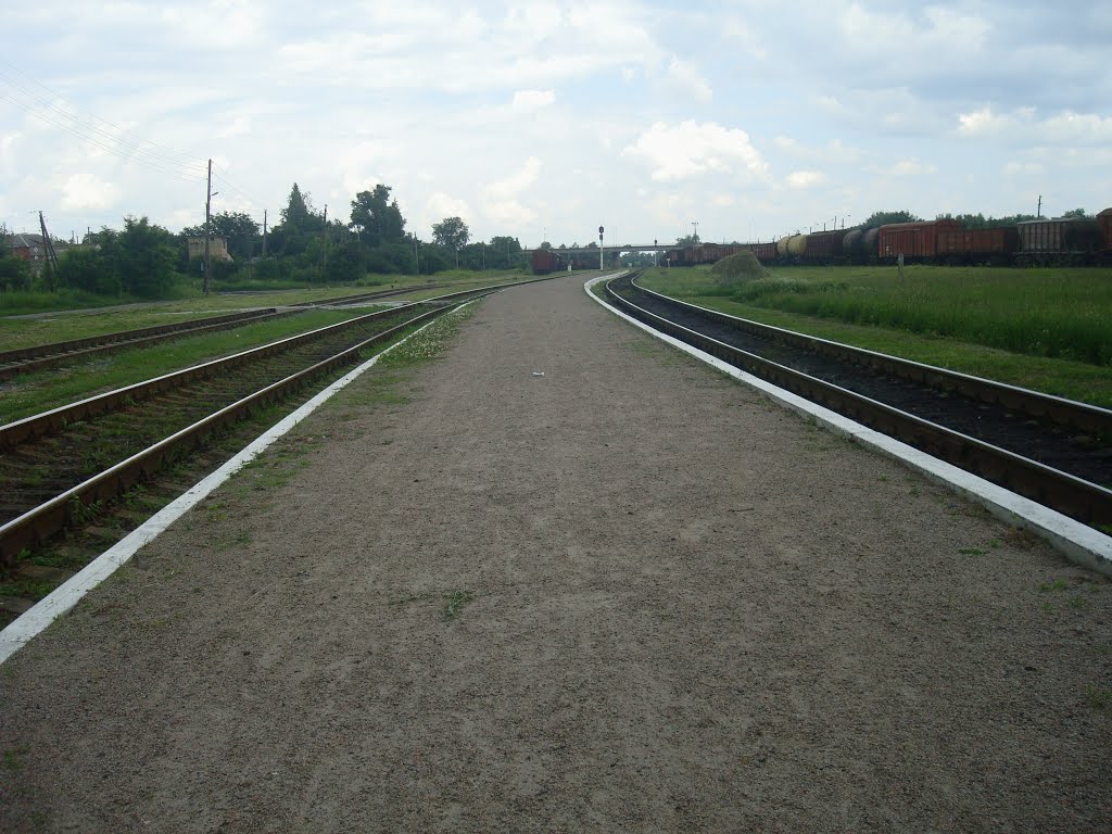 Станция Шепетовка-Подольская. Пассажирская платформа. Вид в сторону Шепетовки, Шепетовка