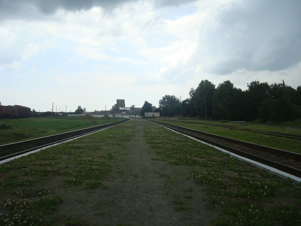 Станция Шепетовка-Подольская. Пассажирская платформа.  Вид в сторону Четырбоков и Изяслава, Шепетовка