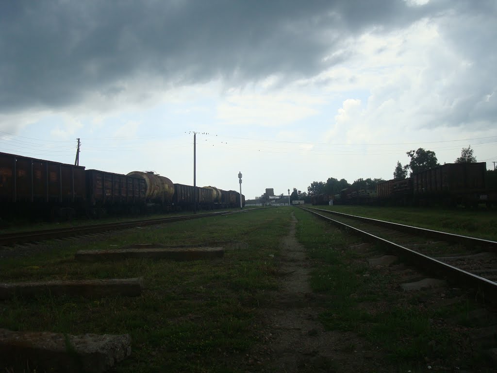Станция Шепетовка-Подольская. Вид в сторону Четырбоков и Изяслава, Шепетовка