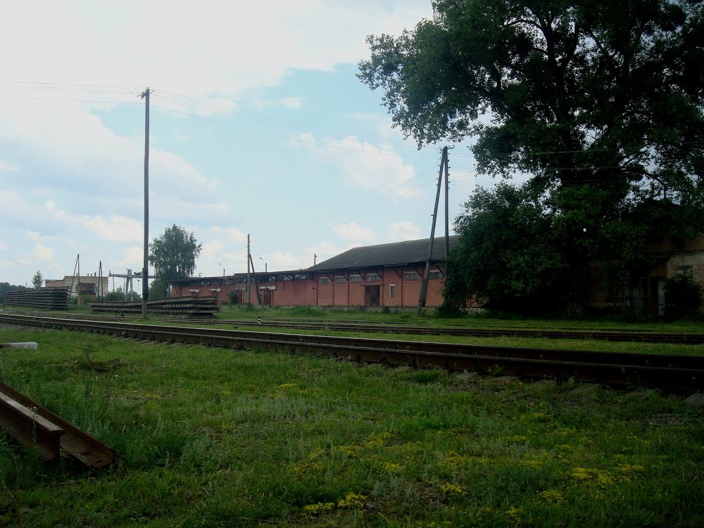 Станция Шепетовка-Подольская. Пакгауз, Шепетовка