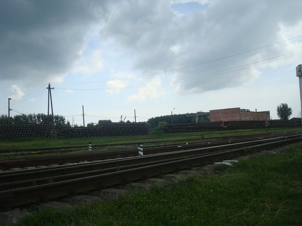 Станция Шепетовка-Подольская. Пакгауз и разобранные пути, Шепетовка