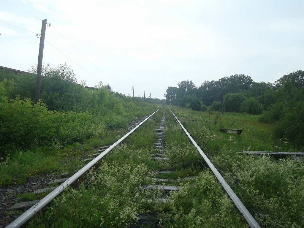 Железнодорожная линия Шепетовка - Гречаны. Перегон Шепетовка-Подольская - Шепетовка, Шепетовка
