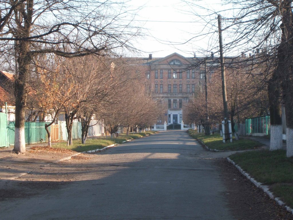 Towns Hospital View, Ватутино