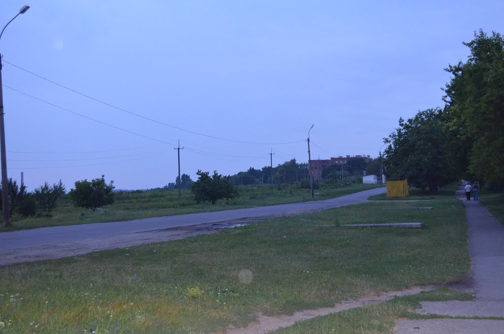 road, Жашков